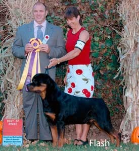 Flash — ARC Best of Breed winner