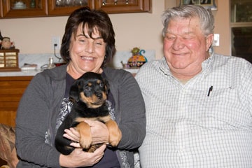 Gold Girl with new family